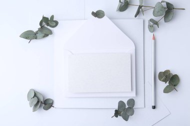 Boş tebrik kartı, kağıt zarf, okaliptüs yaprakları ve beyaz arka planda kalem, düz uzanma