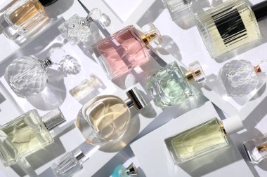 Beyaz arka planda farklı lüks parfümler, düz yatış