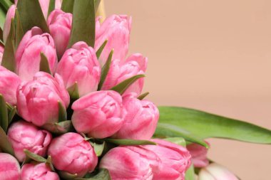 Bej arka planda bir buket güzel lale, yakın plan. Metin için boşluk