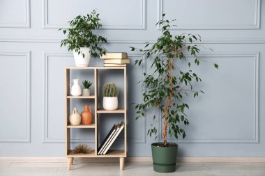 Ev bitkileri ve gri duvarın yanındaki diğer dekorları rafa kaldırıyorum.