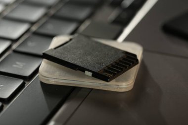 SD hafıza kartı ve dizüstü bilgisayarda sahibi, yakın plan