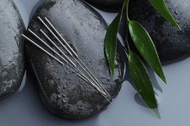 Akupunktur iğneleri, nemli spa taşları ve su yüzeyinde yapraklar, düz uzanmış.