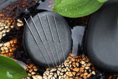 Akupunktur iğneleri, spa taşları ve suda ıslak yaprak, üst manzara.