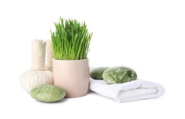 Spa composition with wheatgrass isolated on white