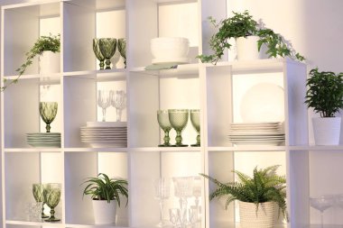 Beyaz duvarın yanındaki raflarda temiz bardaklar, tabaklar ve yeşil bitkiler var.