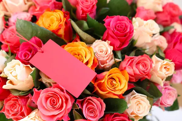 Boş kartla güzel güller, yakın plan.