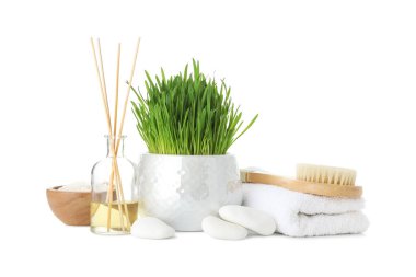 Spa composition with wheatgrass isolated on white