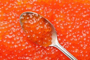 Arka plan olarak lezzetli kırmızı havyar ve kaşık, üst manzara