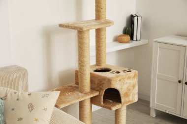 Şık kedi ağacı, çekmeceler ve oturma odasındaki kanepe.