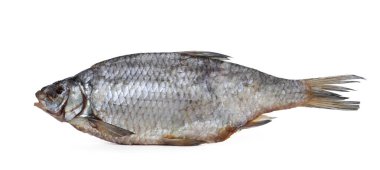 Bir kurutulmuş tuzlanmış hamamböceği balığı beyaz üzerinde izole edilmiş.