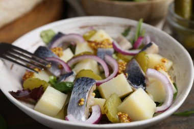 Ringa balıklı lezzetli salata, sebze ve hardal tabakta, yakın plan.