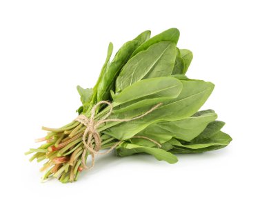 Bir demet taze yeşil kuş yaprakları beyaz üzerinde izole.