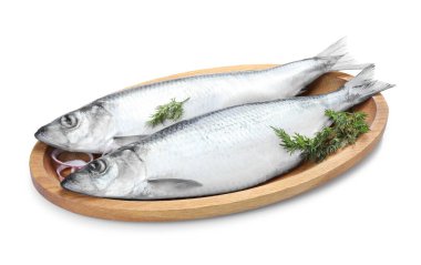 Beyaz zemin üzerinde tuzlu ringa balığı, soğan ve dereotu.