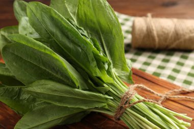 Masada taze yeşil kuş yaprakları ve sicimler var. Yakın plan.