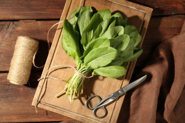 Bir demet taze yeşil kuş yaprağı, makas ve sicim ahşap masada, düz yatıyordu.