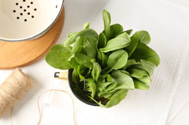 Taze kuş yaprakları kasede, sicimde ve kevgire bembeyaz masada, düz yatıyordu.