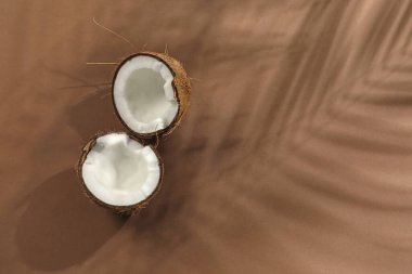 Taze hindistancevizi ve gölgesi bej arka planda tropikal palmiye tarafından yapılmış, üst görünüm. Metin için boşluk