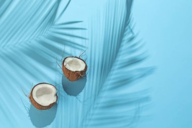Açık mavi arka planda tropikal palmiye ağacından taze hindistan cevizi ve gölge, üst manzara. Metin için boşluk