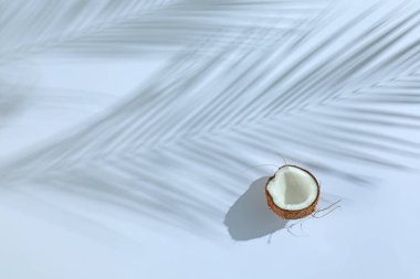 Taze hindistan cevizi ve gölgenin yarısı açık gri arka planda tropikal palmiyeler tarafından oluşturuldu. Metin için boşluk