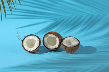 Taze hindistan cevizleri ve açık mavi arka planda tropikal palmiye tarafından dökülen gölge