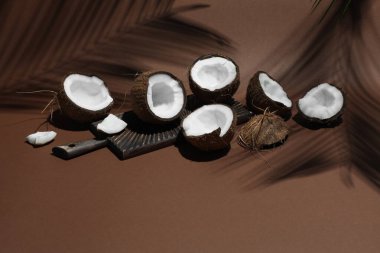 Kahverengi arka planda tropikal palmiyelerin taze hindistan cevizleri ve gölgesi