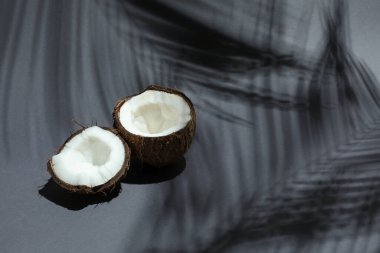 Taze hindistan cevizi ve gri arka planda tropikal palmiyelerin oluşturduğu gölge. Metin için boşluk