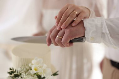 Evli çift içeride bıçakla lezzetli bir düğün pastası kesiyor.