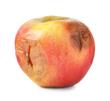 Bir çürük elma beyazda izole edilmiş.