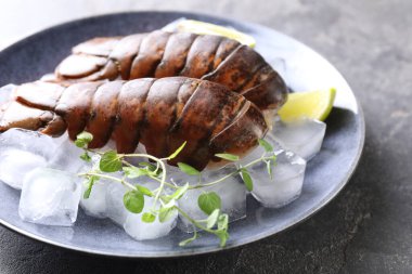 Çiğ ıstakoz kuyruğu, mikro yeşillikler, yeşil masada limon ve buz, yakın plan.