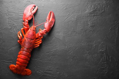 Siyah masada nefis haşlanmış ıstakoz, üst manzara. Metin için boşluk