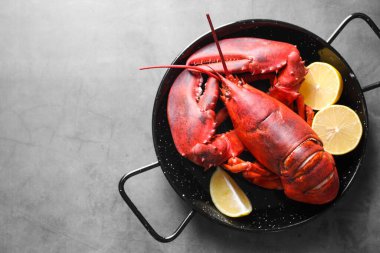 Gri masadaki limon parçalı leziz haşlanmış ıstakoz. Metin için boşluk