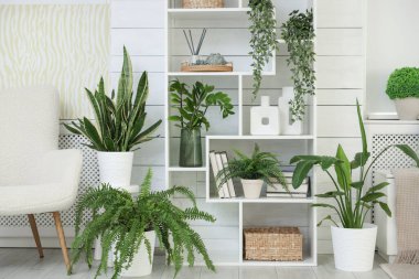 Evde farklı yeşil desenlere sahip raf ünitesi.