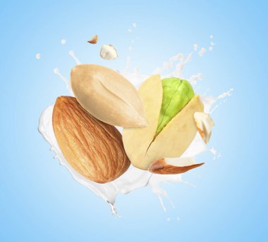 Açık mavi arka planda farklı fındıklı süt sıçraması