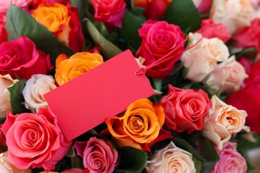 Boş kartla güzel güller, yakın plan.