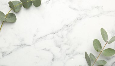 Beyaz mermer zemin üzerinde taze yaprakları olan okaliptüs dalları, düz bir zemin. Metin için boşluk