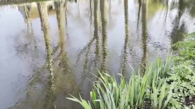 Bahar günü temiz suyla güzel bir kanal manzarası.