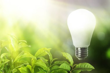 Parlak güneş ışığı altında parlayan ampul ve yemyeşil yapraklar. Çevre dostu enerji