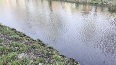 Baharda temiz su ile güzel bir kanal manzarası, kamera sağa hareket ediyor.