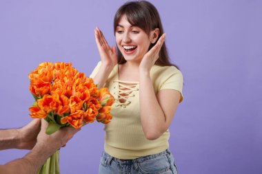 Mor arka planda sevgilisine kırmızı güller sunan bir adam, yakın plan.