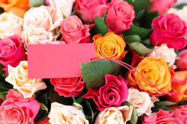 Boş kartla güzel güller, yakın plan.