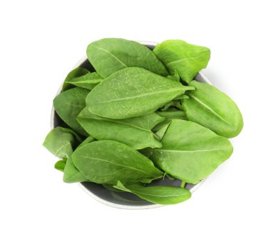 Taze yeşil kuş yaprakları beyaz kasede izole, üst manzara