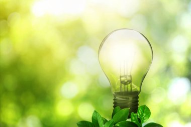 Parlak güneş ışığı altında parlayan ampul ve yemyeşil yapraklar. Çevre dostu enerji