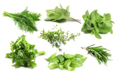 Beyaz arka planda farklı aromatik otlar, kolaj