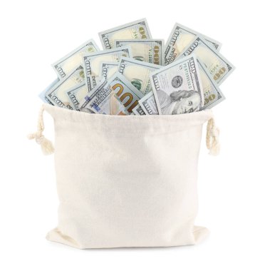 Dolar banknotları olan para çantası beyaza izole edilmiş.