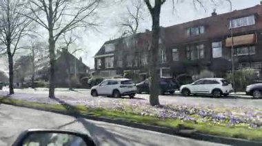 Leiden, Hollanda - 13 Mart 2025: Yolculuk sırasında hareket halindeki araçtan kaydedilen şehir