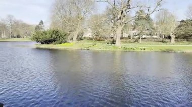 Leiden, Hollanda - 27 Mart 2025: Güneşli bir günde güzel şehir kanalı ve ağaçlar, sağa sola hareket eden kamera