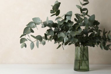 Açık gri duvarın yanındaki masada vazoda güzel okaliptüs dalları var.