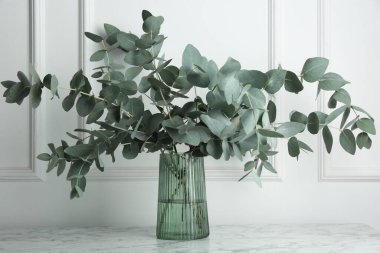 Beyaz duvarın yanındaki mermer masada vazoda yeşil okaliptüs dalları var.