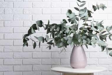 Beyaz tuğla duvarın yanındaki masada vazoda yeşil okaliptüs dalları var.