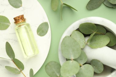 Gerekli yağ şişesi, okaliptüs yaprakları, yeşil zemin üzerinde havan ve tokmak, düz yatıyordu.